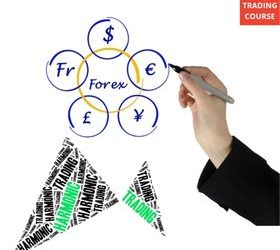 Harmonic Pattern Forex Trading Strategy – Explained for Beginners To Advanced