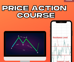 Forex Trading Price Action Beginners To Advanced Swing Trading Strategy